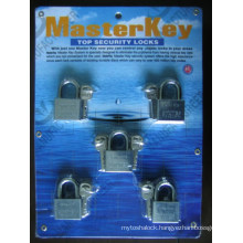 Steel Padlock with Master Key Lock (AL-40, AL-50)